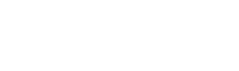 VAMO BG Лого бяло